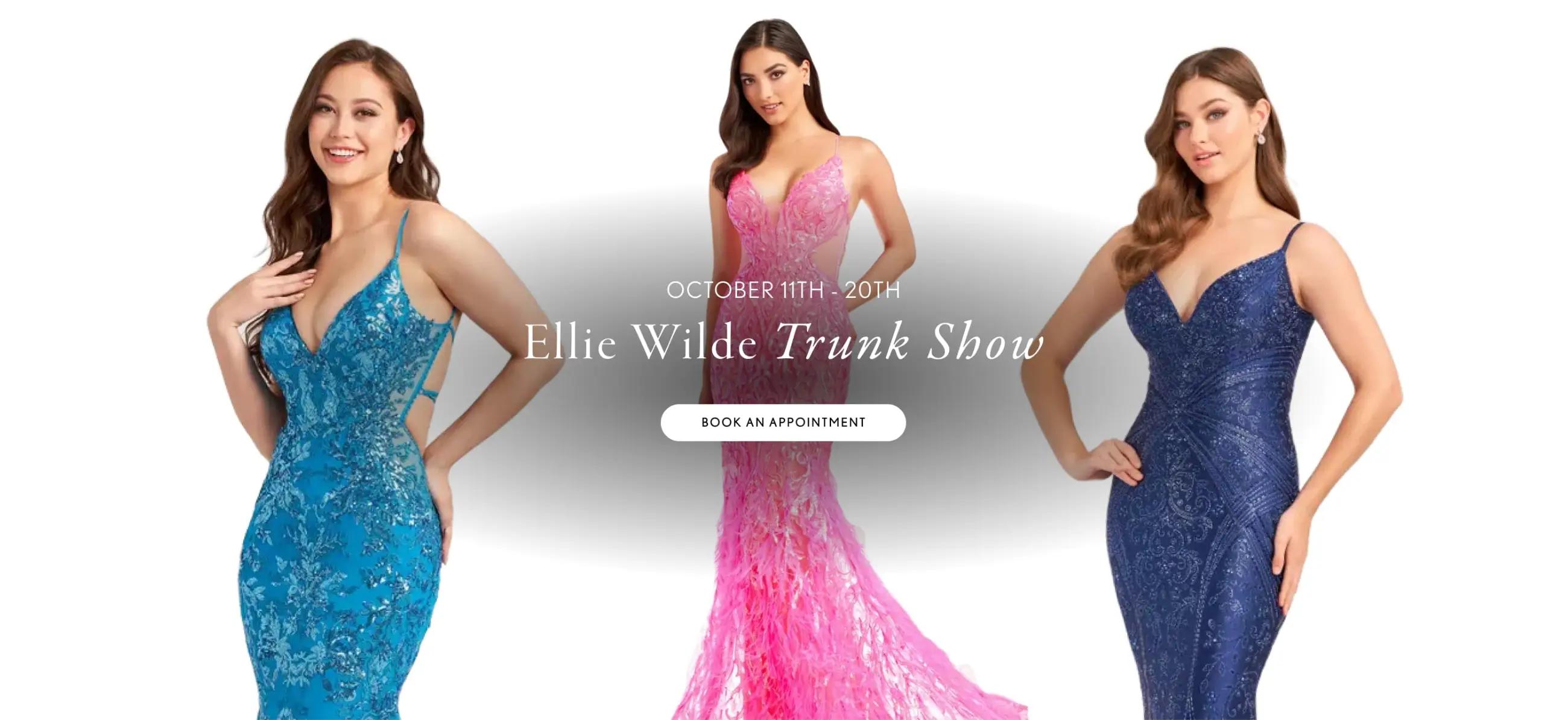 Ellie Wilde Trunk Show desktop banner